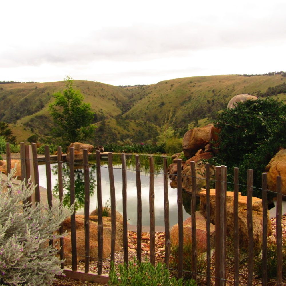 Split Pale Pool Fence 65mm Spacing